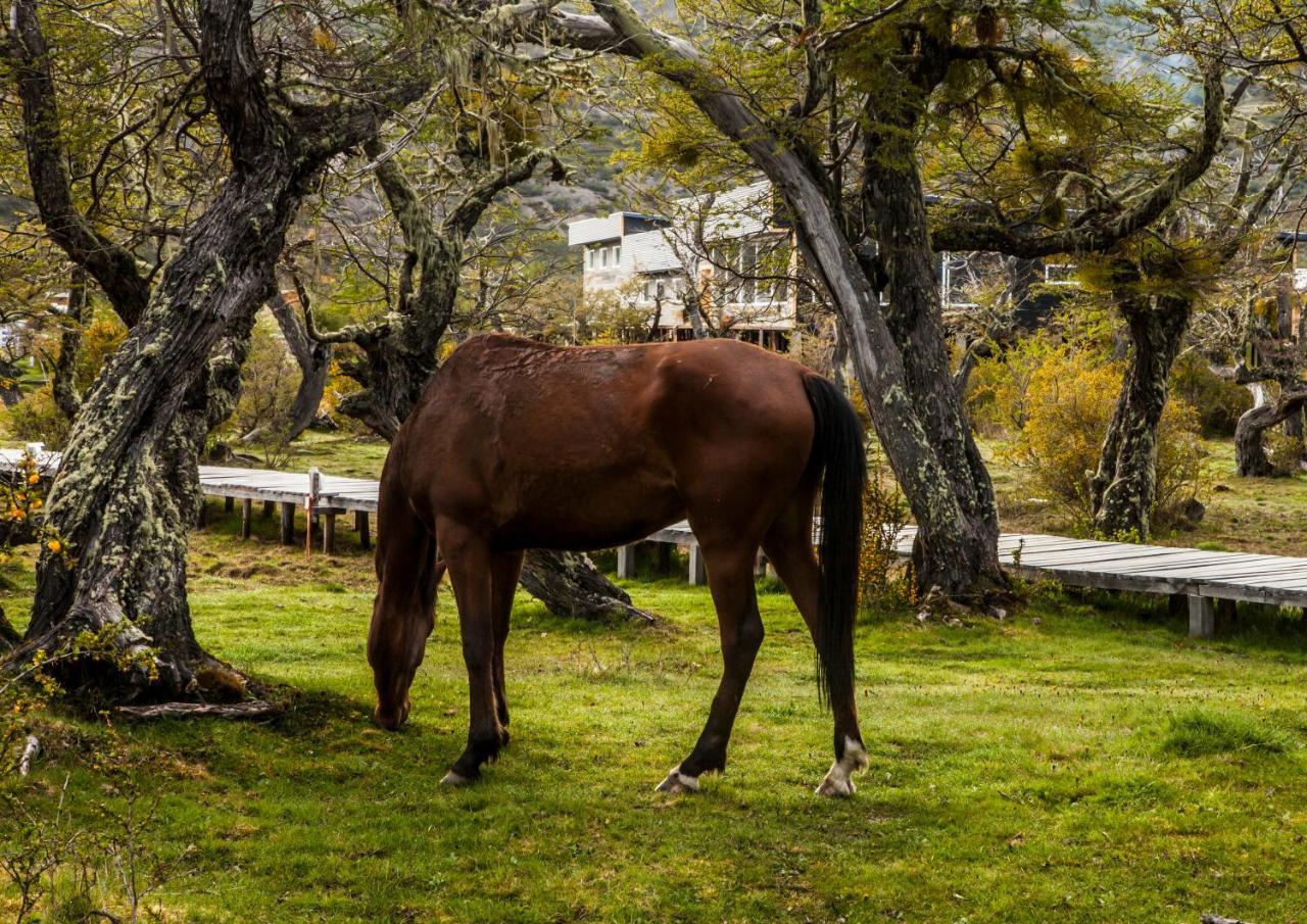 Pampa Hostel Torres del Paine National Park Exterior photo